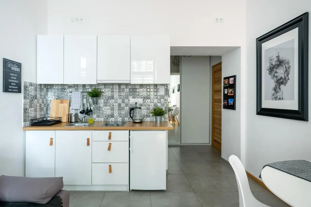 Apartment Uroczy Apartament Obok Opery I Dworca Glownego Z Netflix Krakow