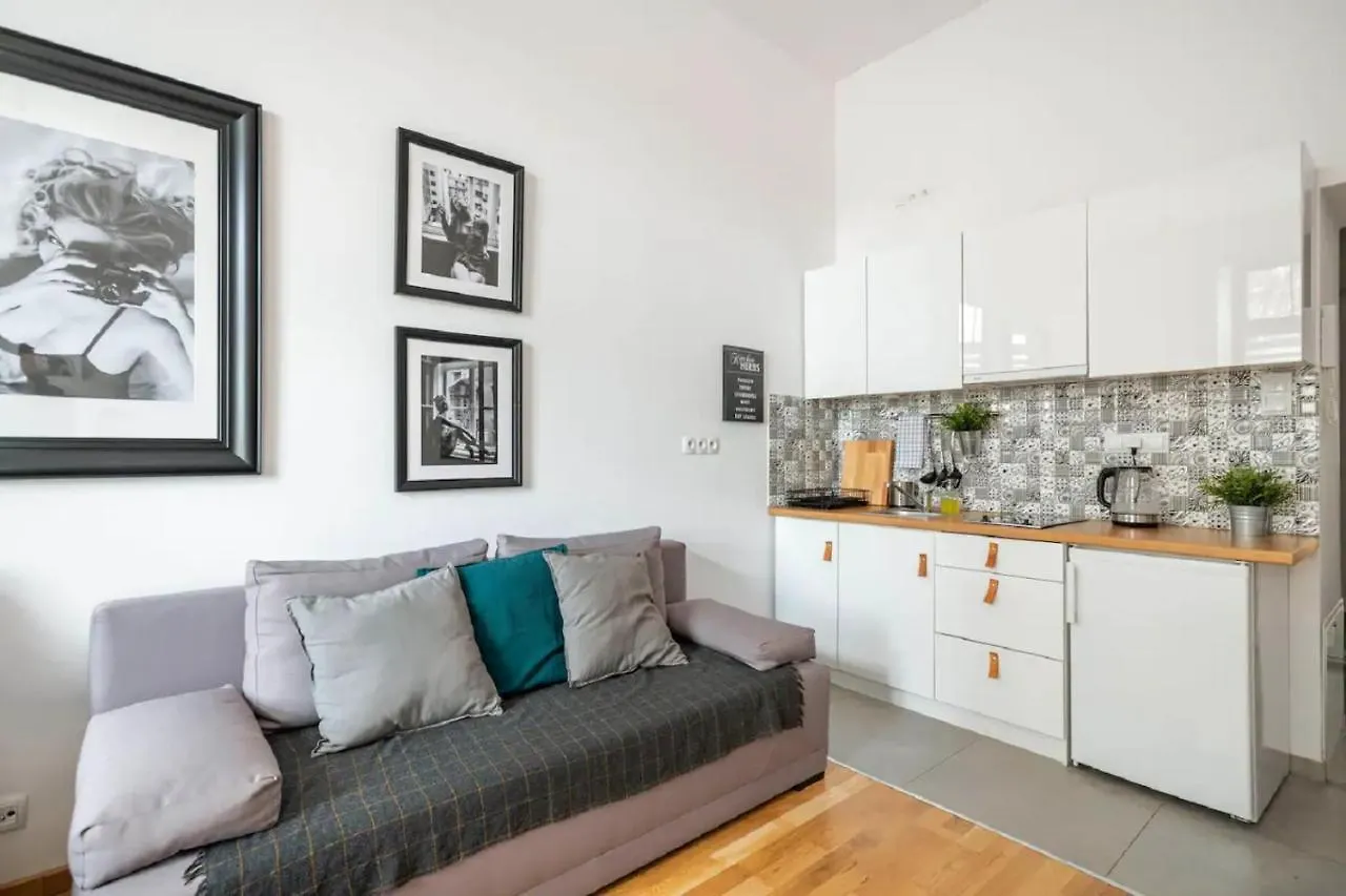 Uroczy Apartament Obok Opery I Dworca Glownego Z Netflix Krakow Apartment